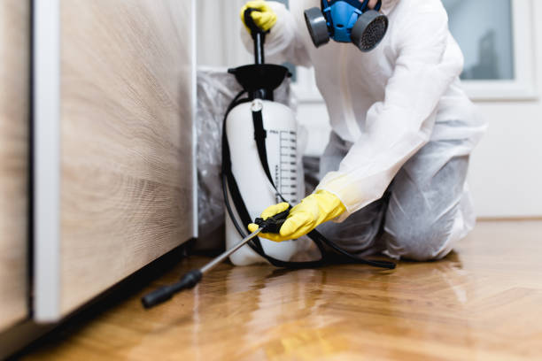 Wasp Removal Services in Sterling, GA