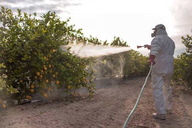 Best Residential Pest Control  in Sterling, GA