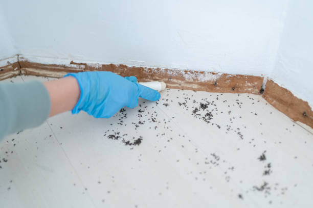 Best Pest Removal Services  in Sterling, GA